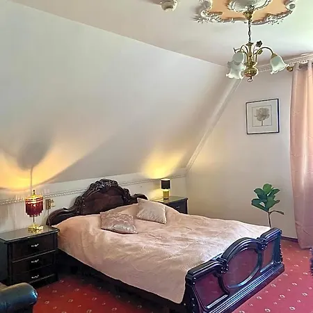 Hotel Dwor Szczepanskich Żory