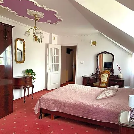Hotel Dwor Szczepanskich Żory